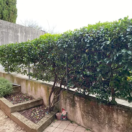 Casa Di Sabry Apartment Cappella Maggiore